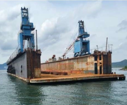 Aanpasbare scheepswerfhavenkraan van hoge kwaliteit